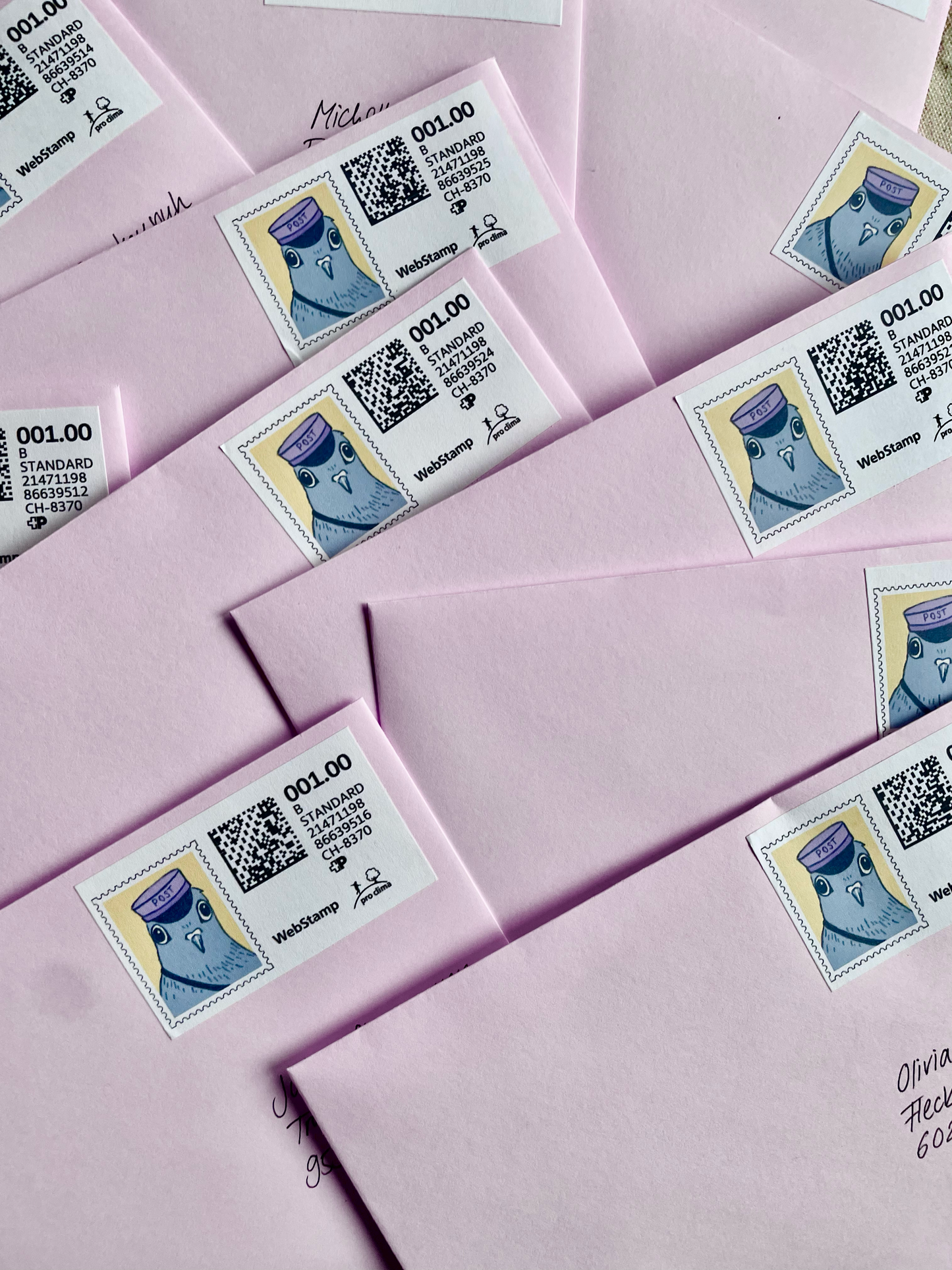 Brieftaubenclub - Monatsabo